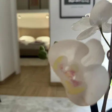 Apartman A In The Heart Of Ferhadija - Parking Available