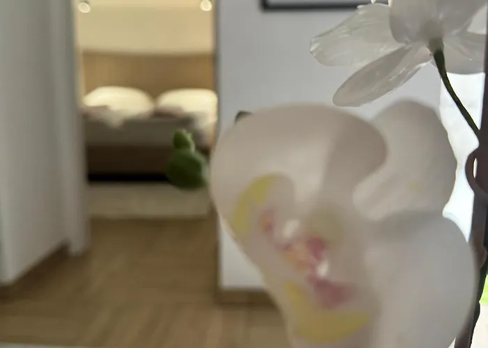 Lejlighed A In The Heart Of Ferhadija - Parking Available